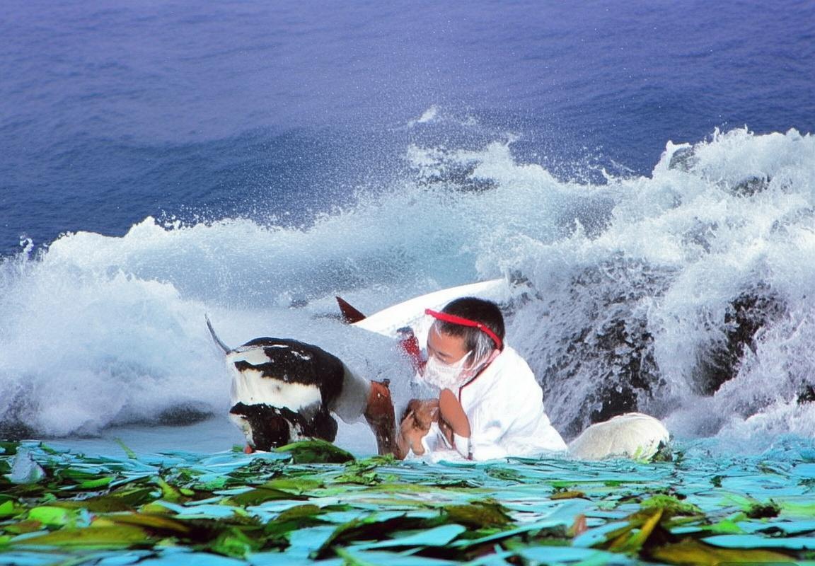 北京国安vs重庆队：焦点战役深度解析